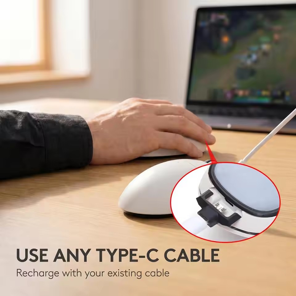 Micro-USB naar Type-C-oplaadad - Type 2 Charger recensie en prijs