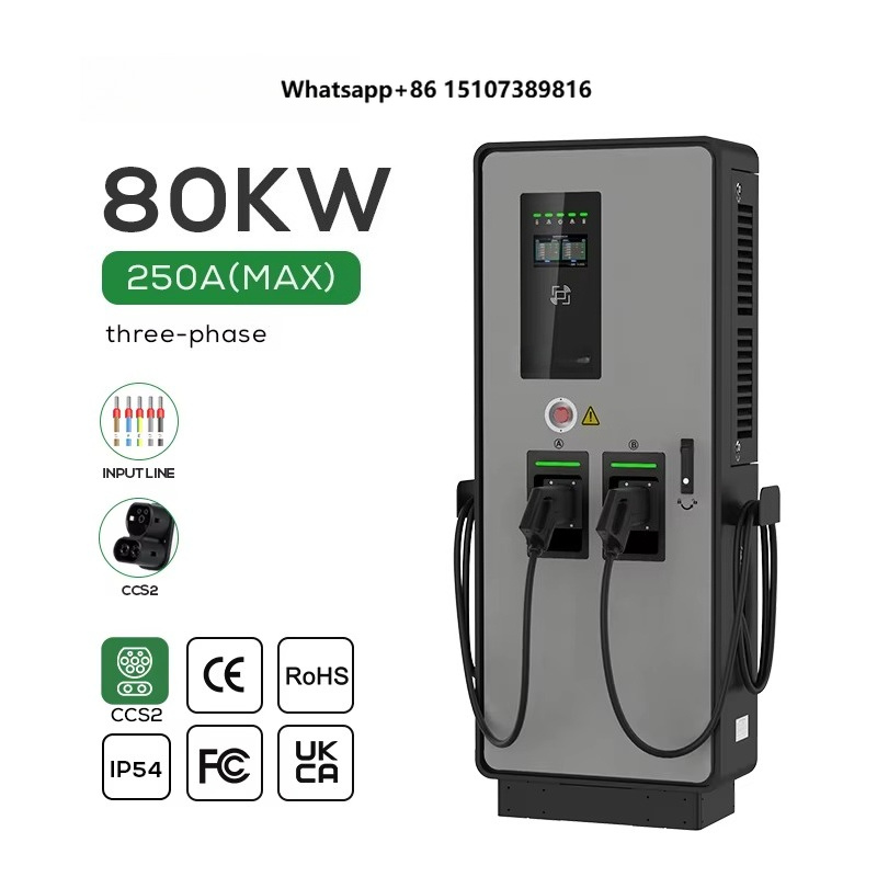 Dubbele DC EV-lader 40kW 80kW  - Ev Charging Pile recensie en prijs